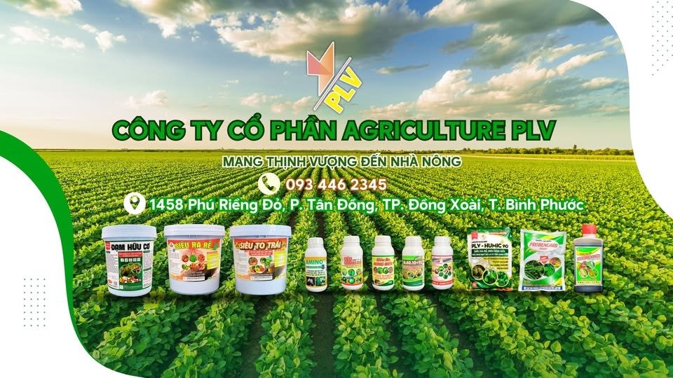 Công ty Cổ phần Agriculture PLV – Mang thịnh vượng đến nhà nông