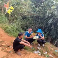 Kỹ thuật PLV kiểm tra đất