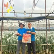Thăm nhà kính trồng hoa